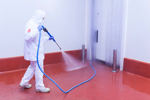 Best Roof Washing  in Alta Sierra, CA